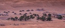 THOUSAND NIGHTS CAMP 