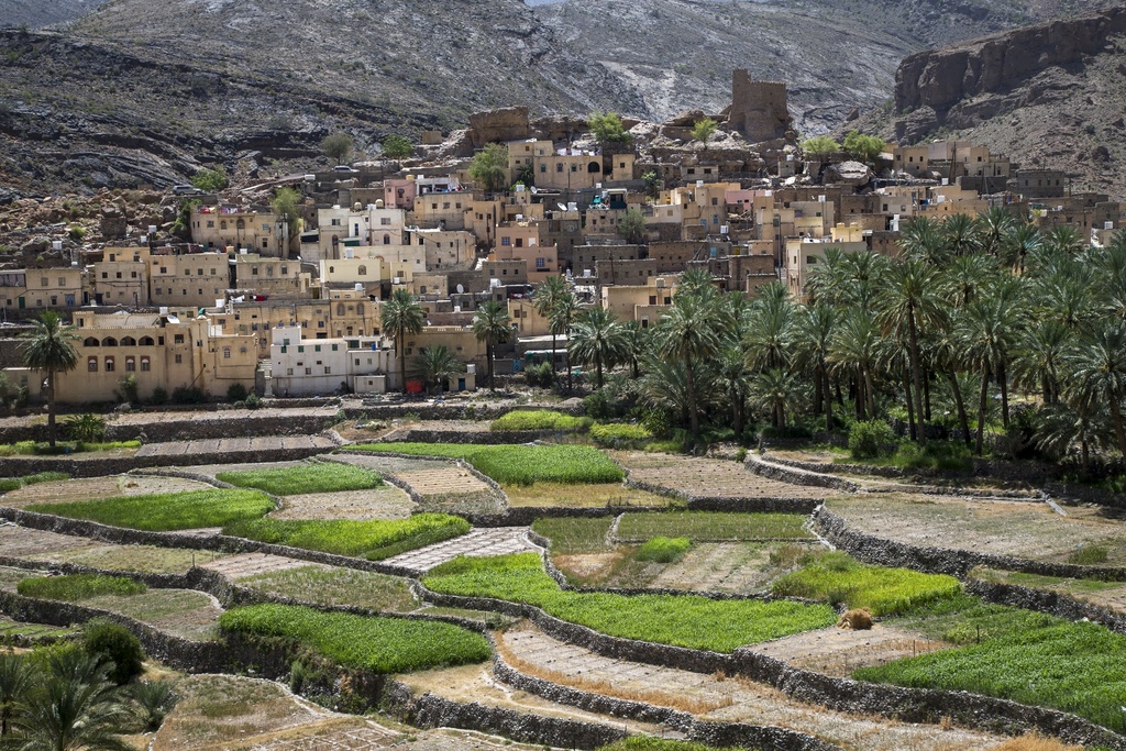 Balade découverte dans les villages de Jabel Al Akhdar avec un local - 2h00 - Privé