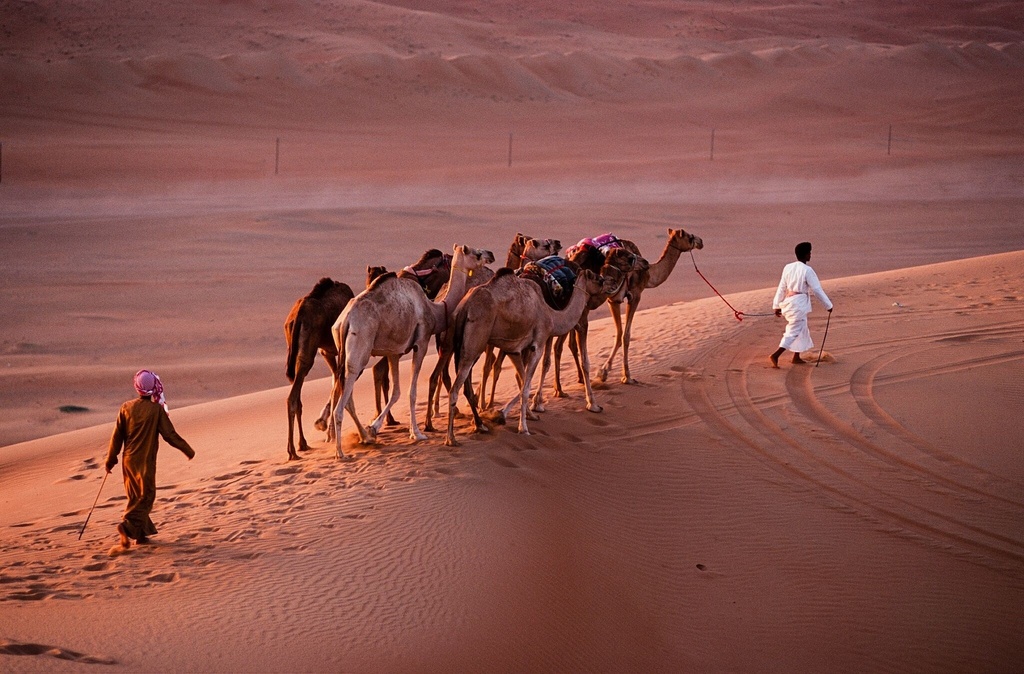 Accompagnement : Al wasil Road <> Campement dans le désert - Trajet / Voiture