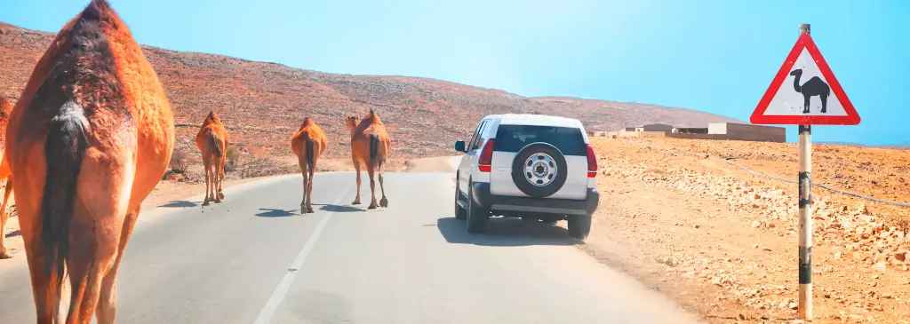 Transfert privée - Dakhiliyah - Sharqiyah